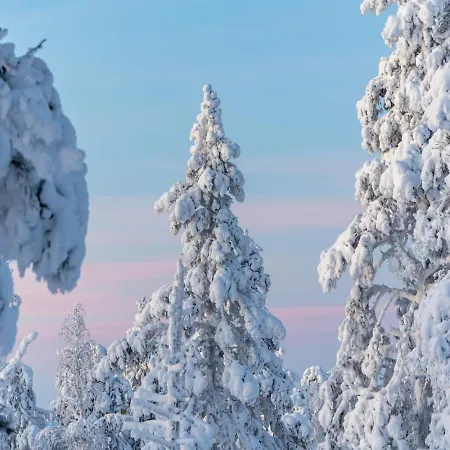 Aekaesentie 1 A 110 By In Lapland דירה